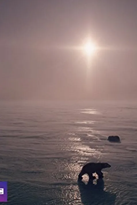 24 Hours on Earth