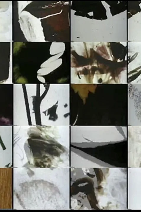Mothlight