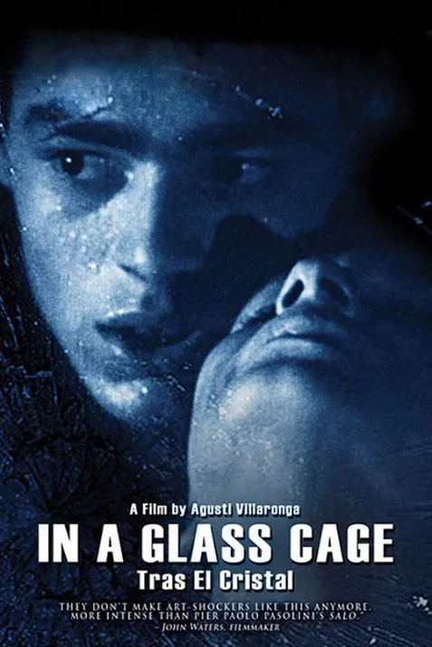 In a Glass Cage