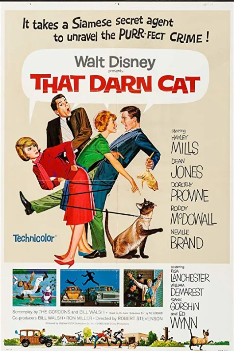 That Darn Cat!