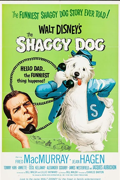 The Shaggy Dog