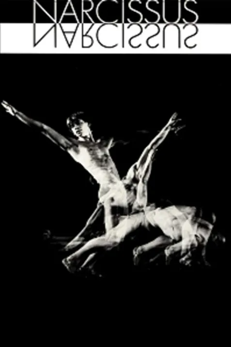 Narcissus