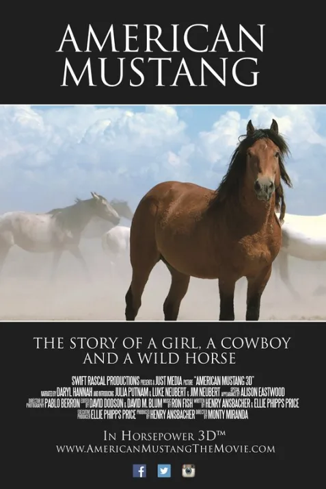 American Mustang