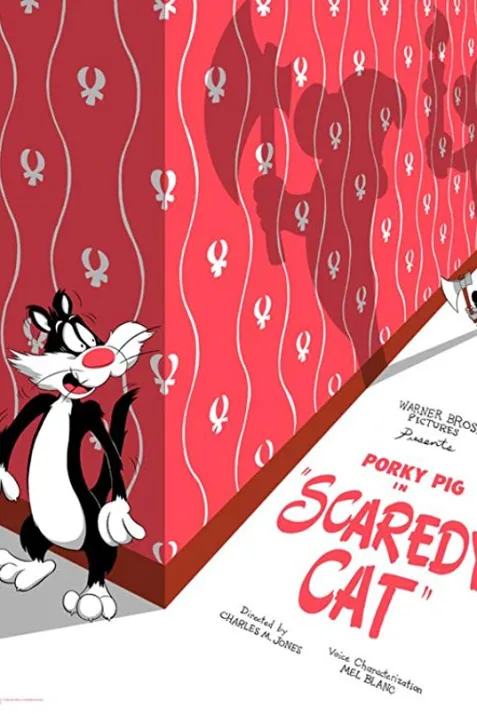 Scaredy Cat