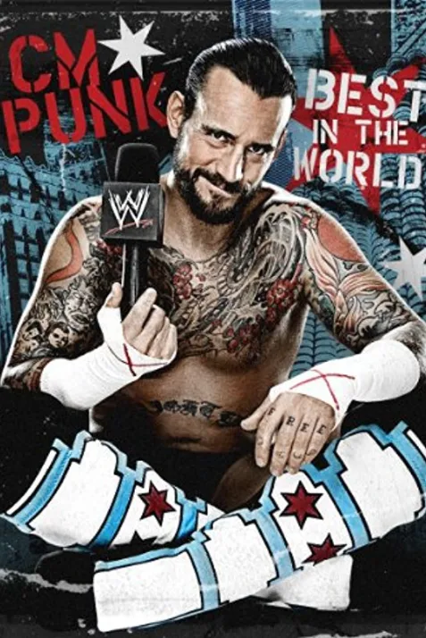 WWE: CM Punk - Best in the World