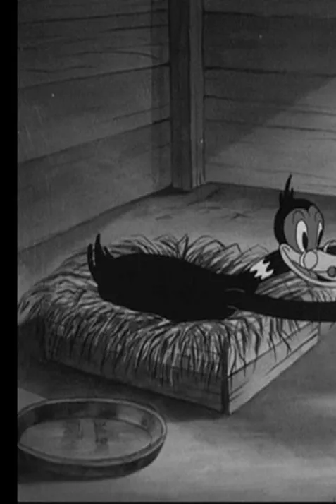 Wise Quacks