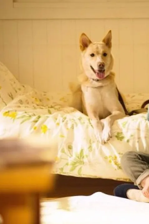 Dogs Without Names