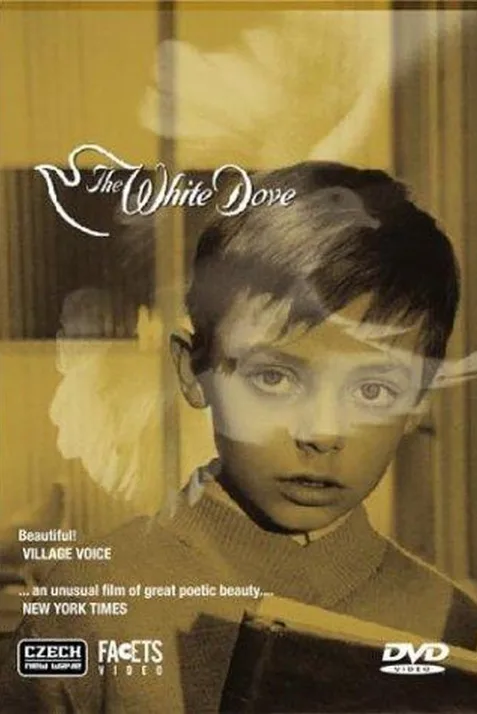 The White Dove