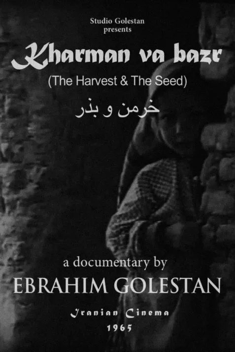 Harvest and the Seed