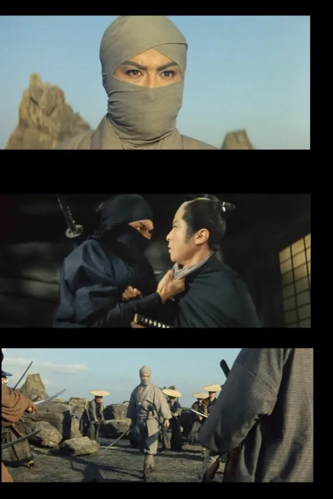 Kaze no bushi