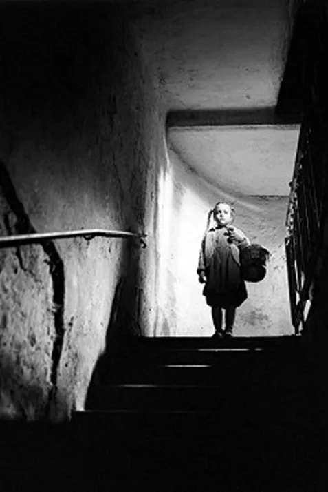 Down to the Cellar
