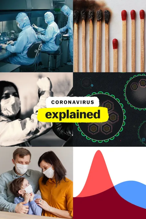 Coronavirus, Explained