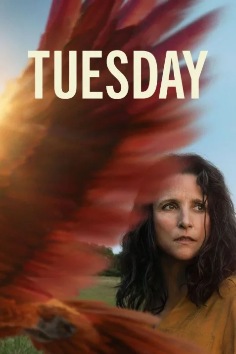 Tuesday