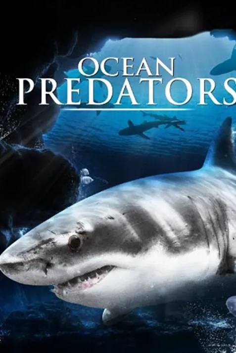 Ocean Predators