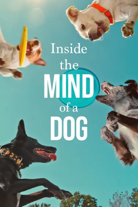 Inside the Mind of a Dog