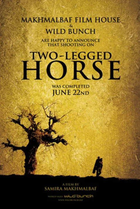 Two-Legged Horse