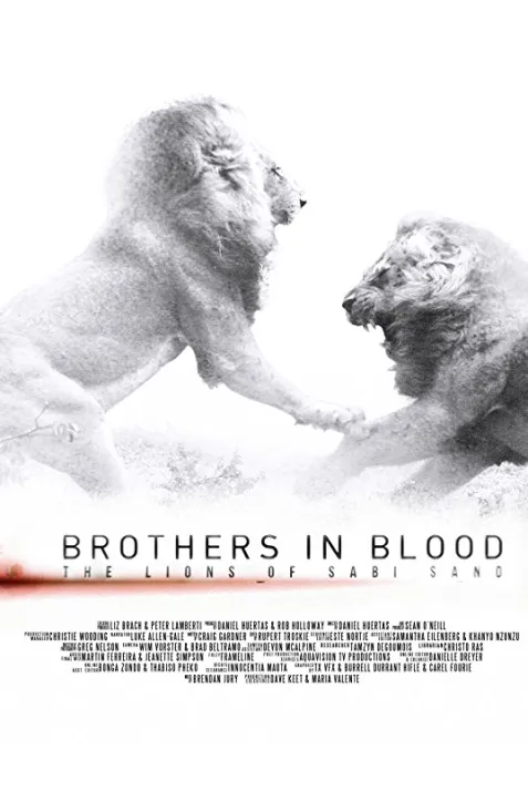 Brothers in Blood: The Lions of Sabi Sand