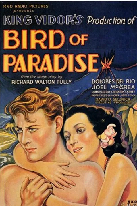 Bird of Paradise