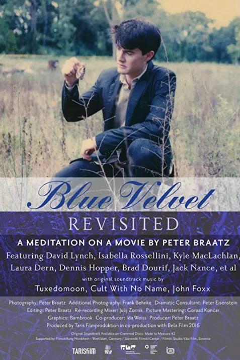 Blue Velvet Revisited