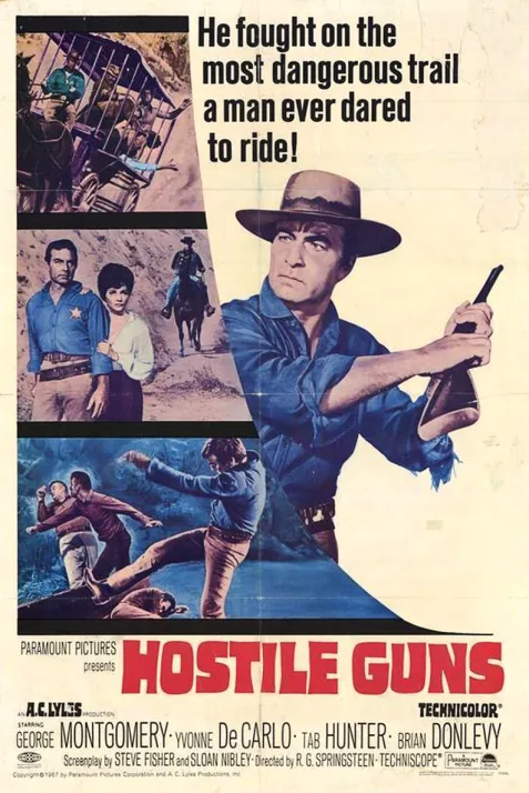Hostile Guns