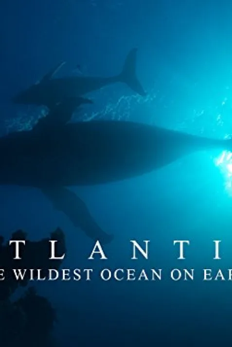 Atlantic: The Wildest Ocean on Earth