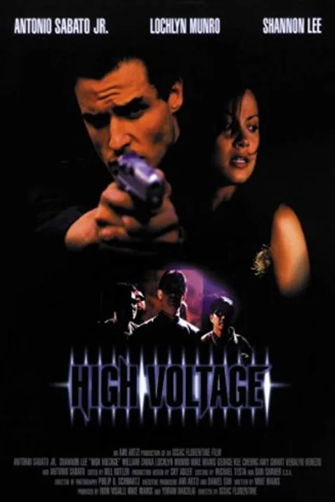 High Voltage