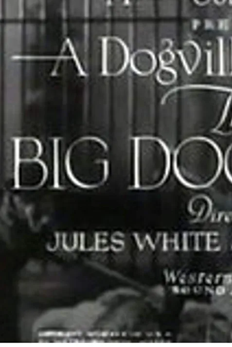The Big Dog House
