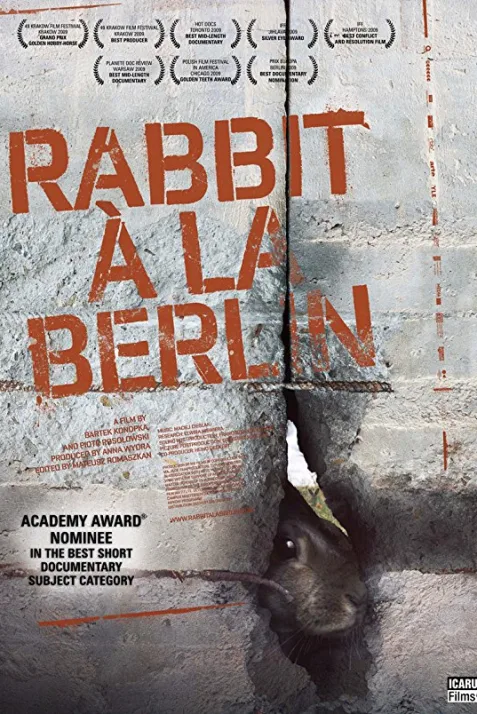 Królik po berlinsku