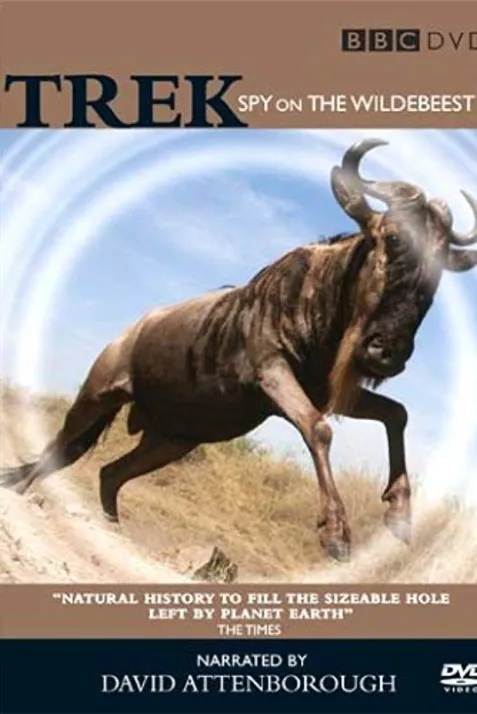 Trek: Spy on the Wildebeest