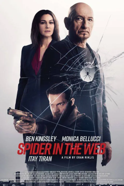 Spider in the Web