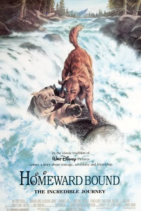 Homeward Bound: The Incredible Journey