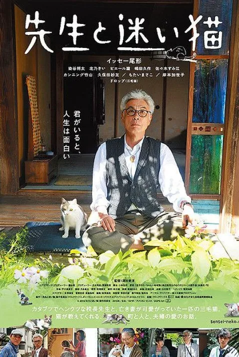 Teacher and Stray Cat