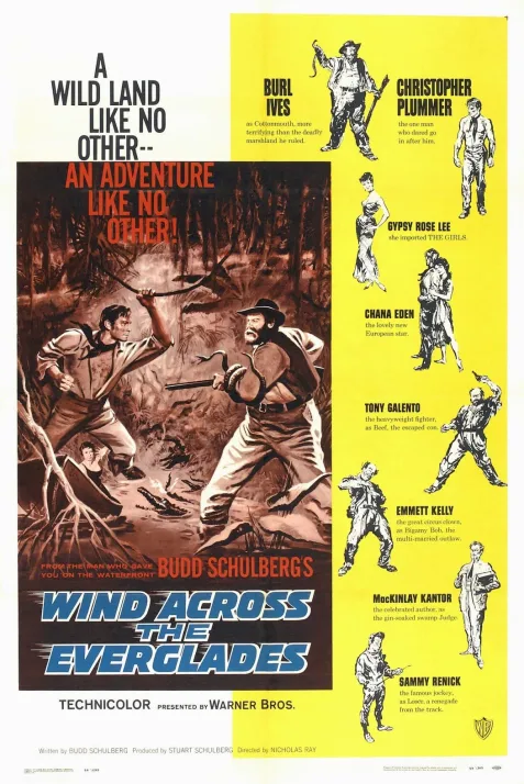 Wind Across the Everglades