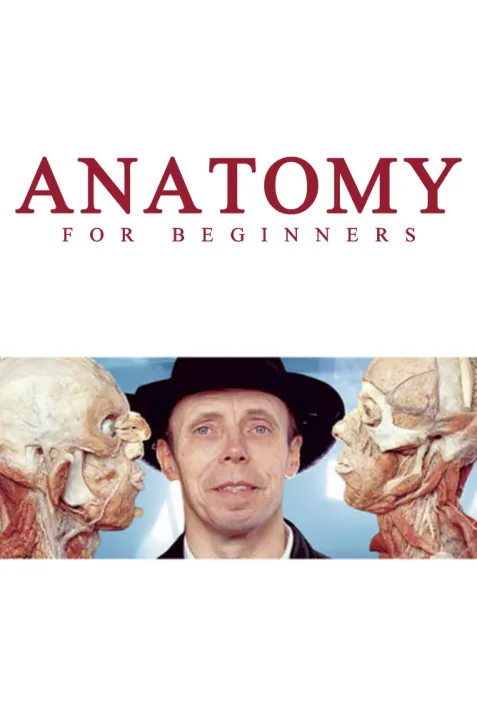 Anatomy for Beginners