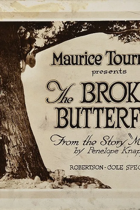 The Broken Butterfly