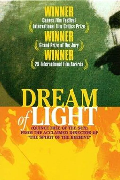 Dream of Light