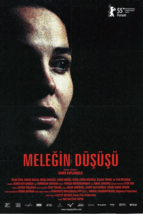 Melegin Düsüsü