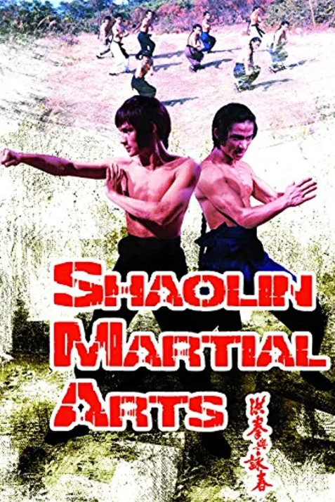 Shaolin Martial Arts