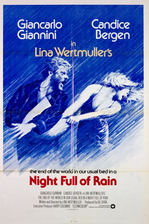 A Night Full of Rain