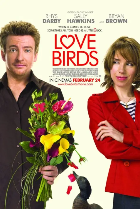 Love Birds