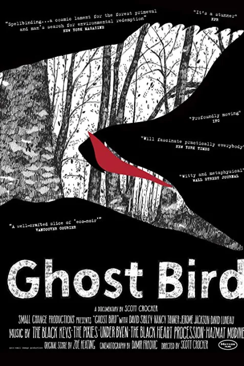Ghost Bird