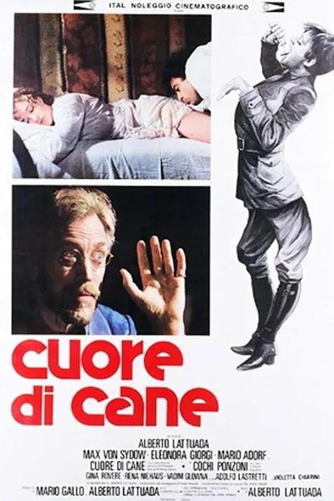 Cuore di cane