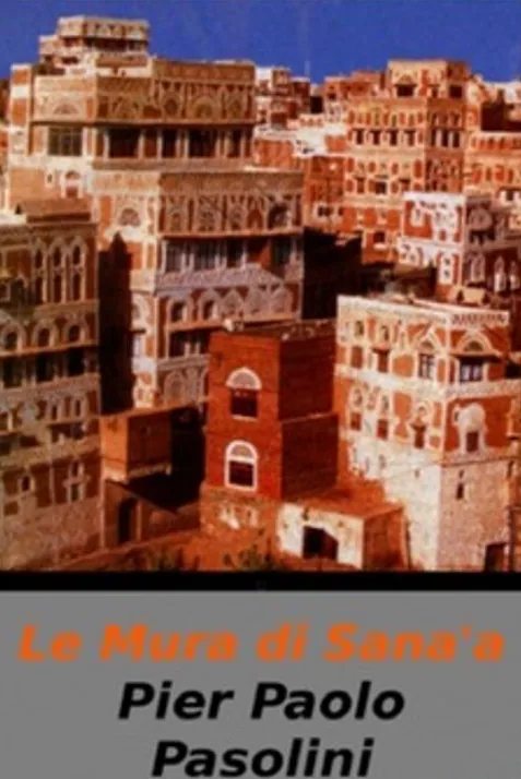 The Walls of Sana'a