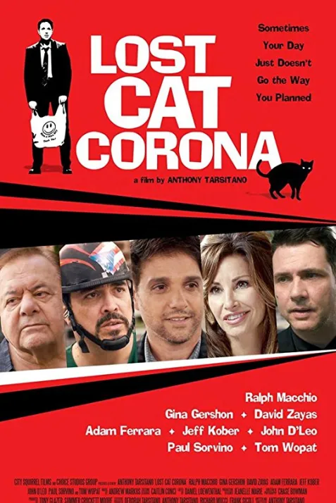 Lost Cat Corona