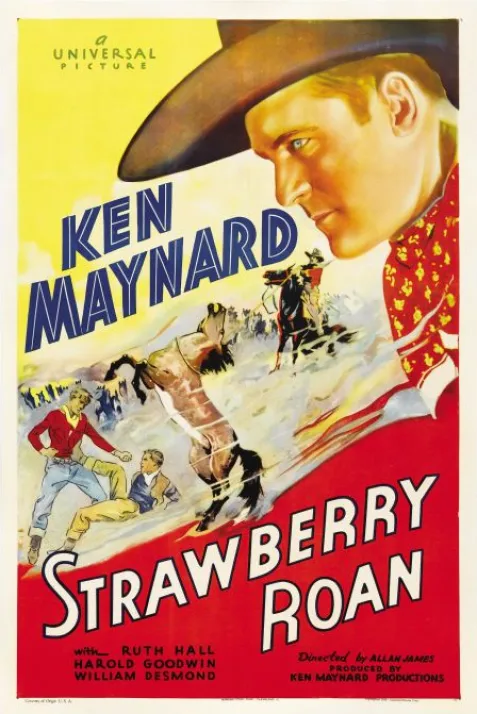 Strawberry Roan
