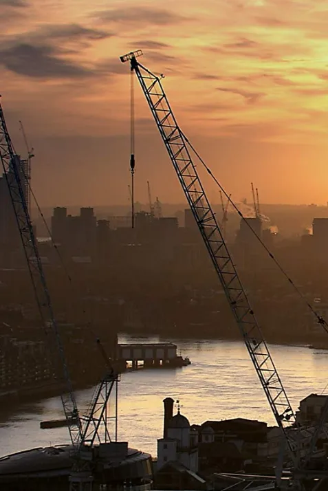 The Solitary Life of Cranes