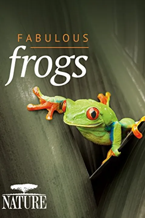 "Nature" Fabulous Frogs