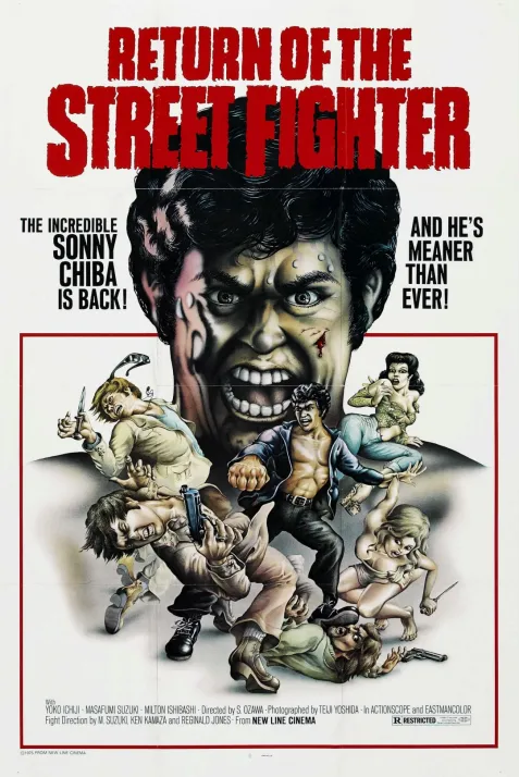 Return of the Street Fighter