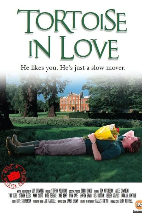 Tortoise in Love