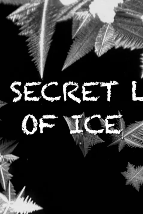 The Secret Life of Ice